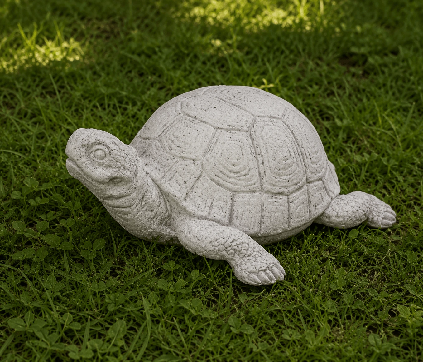 Tartaruga 5775/C