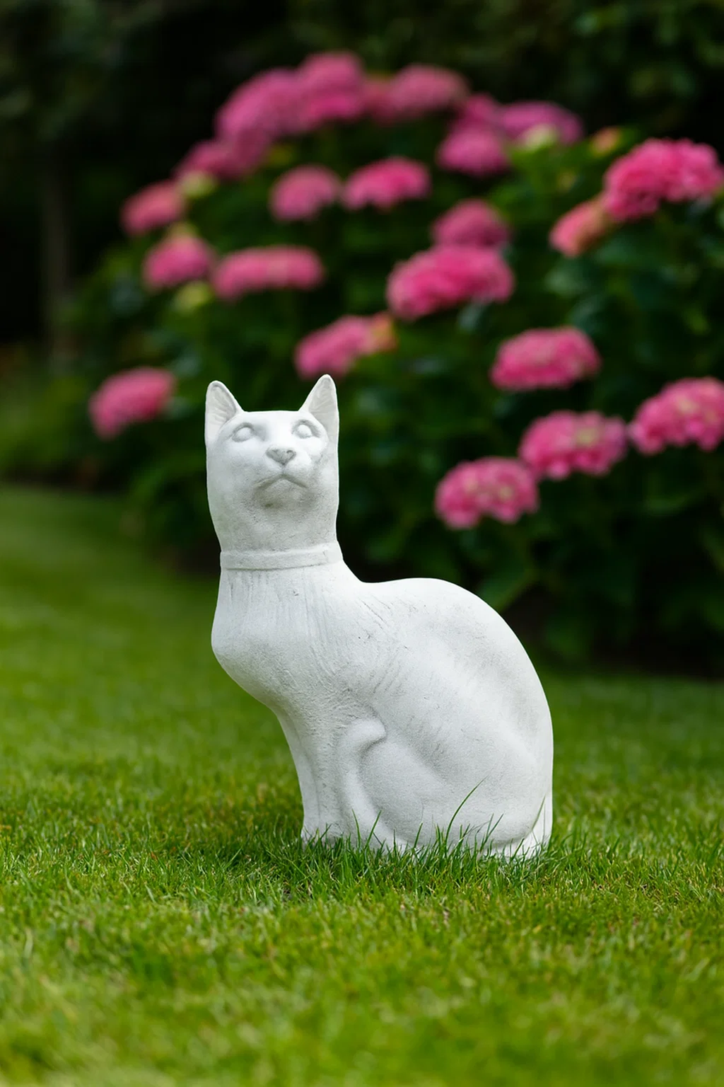 Gatto 5765/C