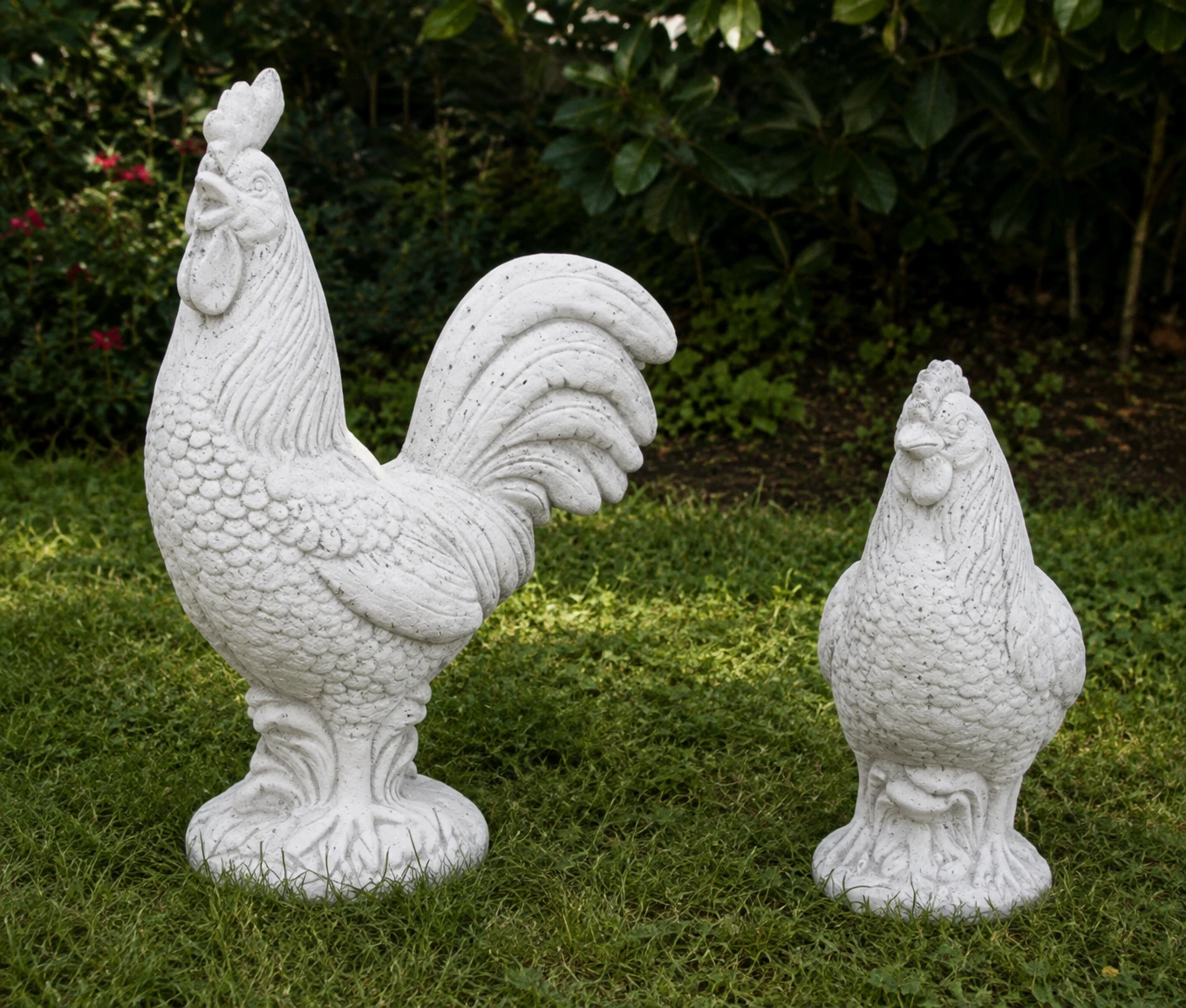 Gallo 5776/C e Gallina 5777/C