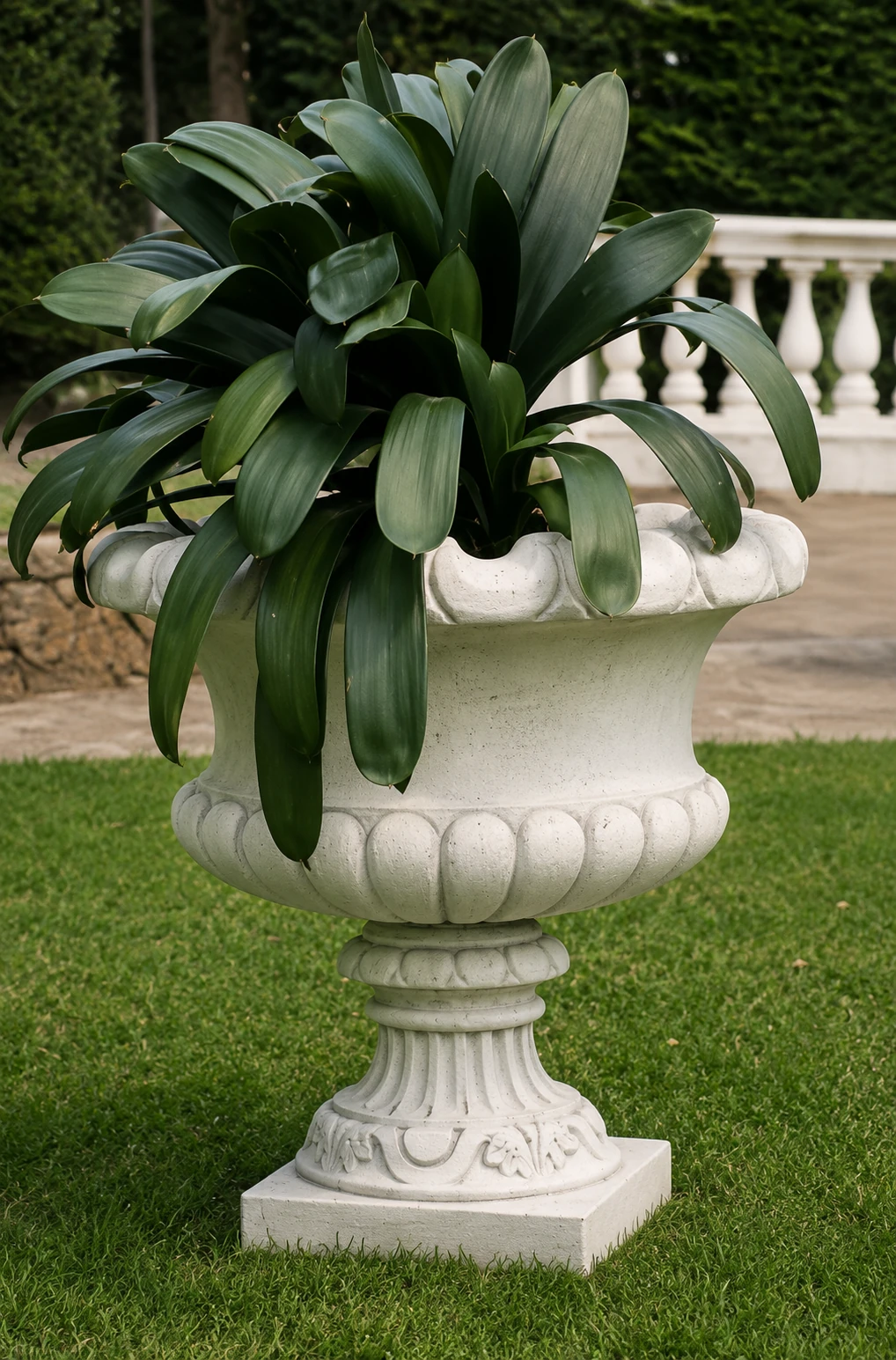 Vaso 5632/C