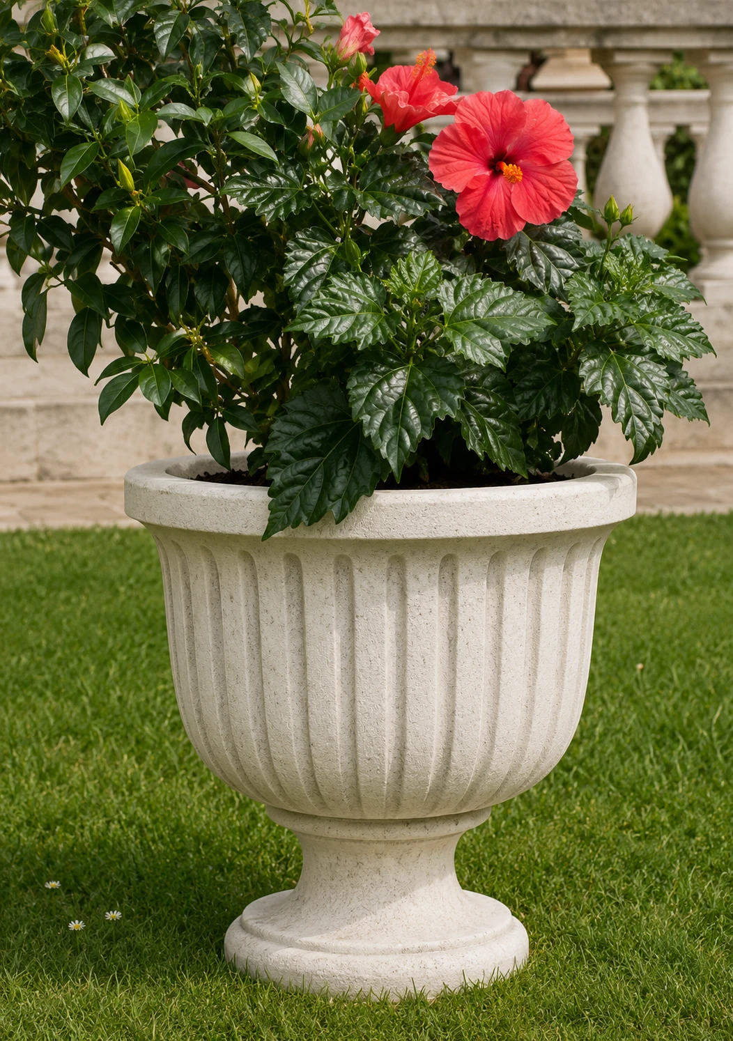 Vaso 5633/C