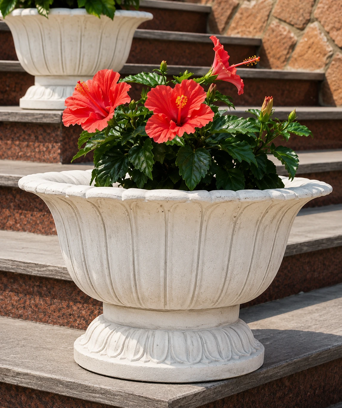 Vaso 5646/C
