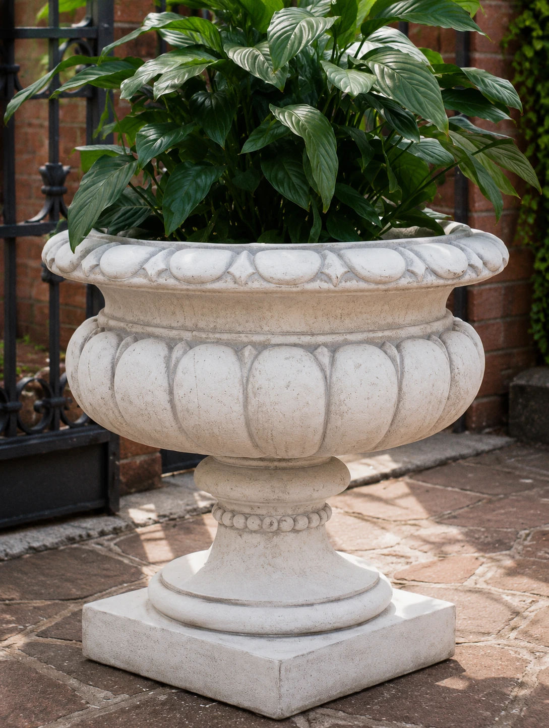 Vaso 5648/C