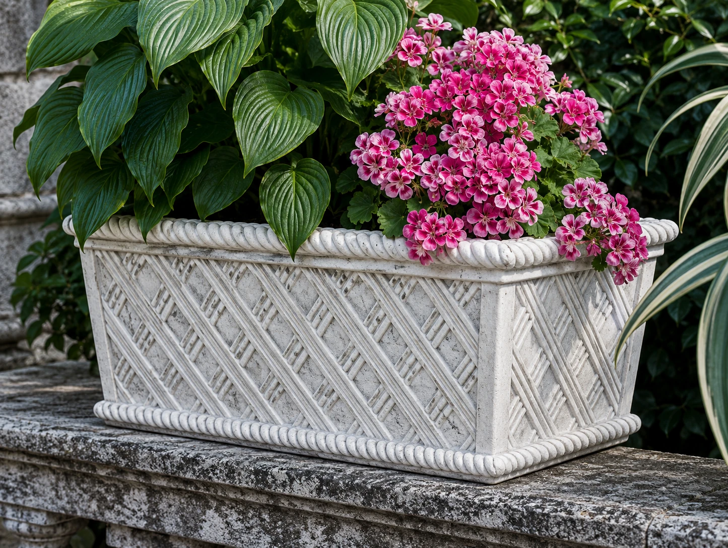 Vaso 5649/C