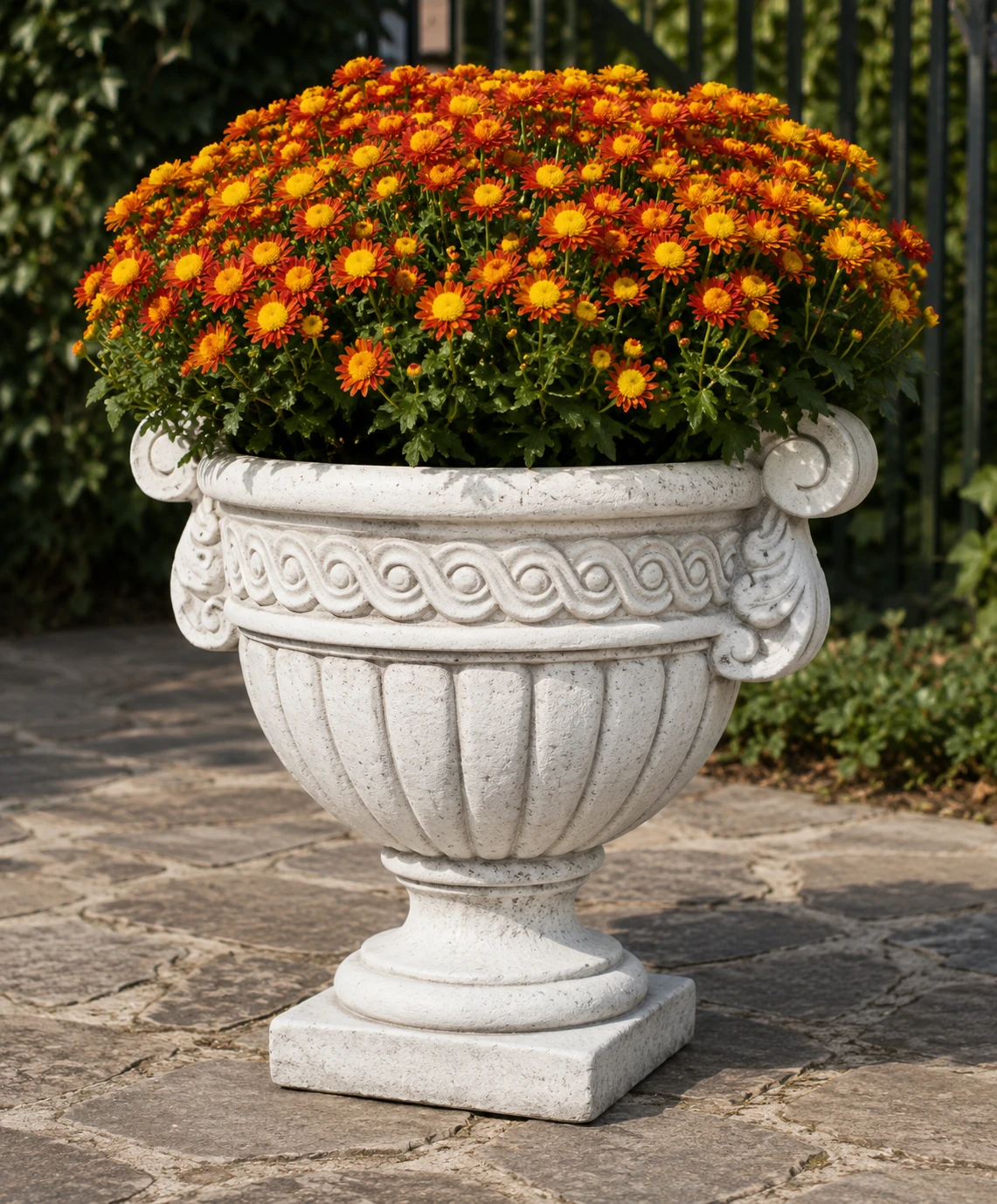 Vaso 5654/C