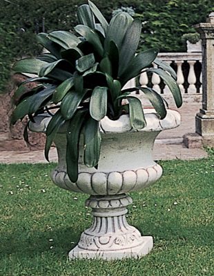 VASO 5632/C