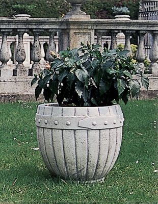 VASO 5634/C