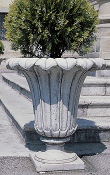 VASO 5644/C