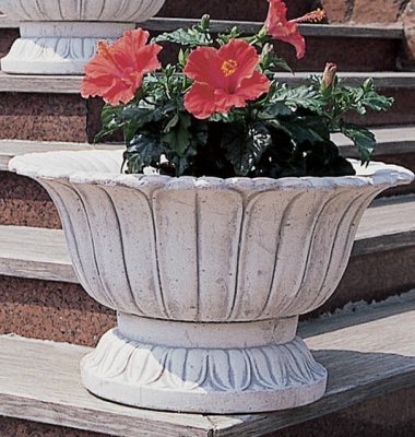 VASO 5646/C