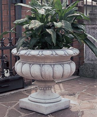 VASO 5648/C