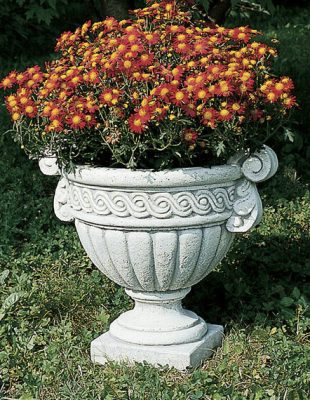 VASO 5654/C