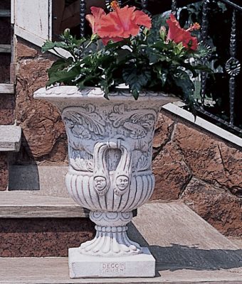 VASO 5655/C