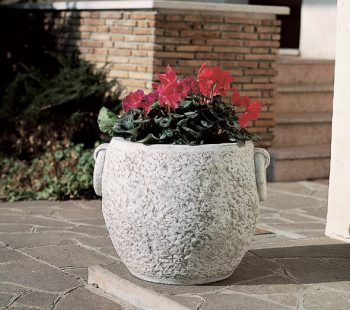 VASO 5661/C